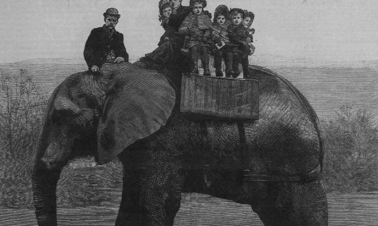 elefantul Jumbo, 9 aprilie